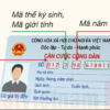 Nhập định danh cá nhân vào hệ thống Vnedu