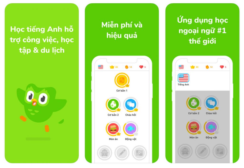 Tự học Tiếng Anh cùng ứng dụng Duolingo